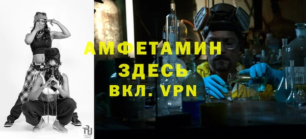ECSTASY Алзамай