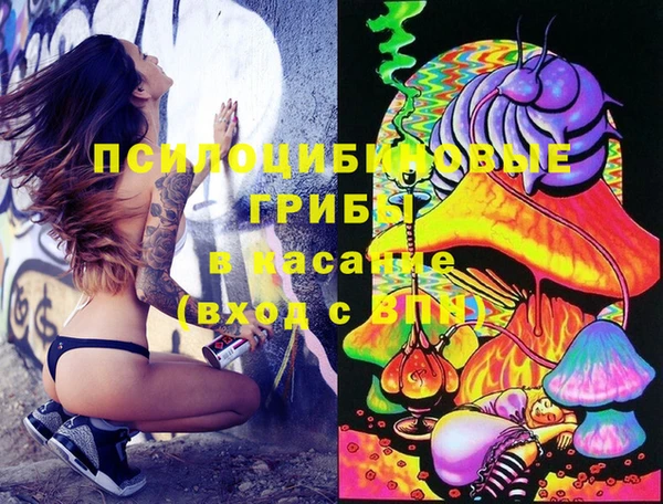 ECSTASY Алзамай